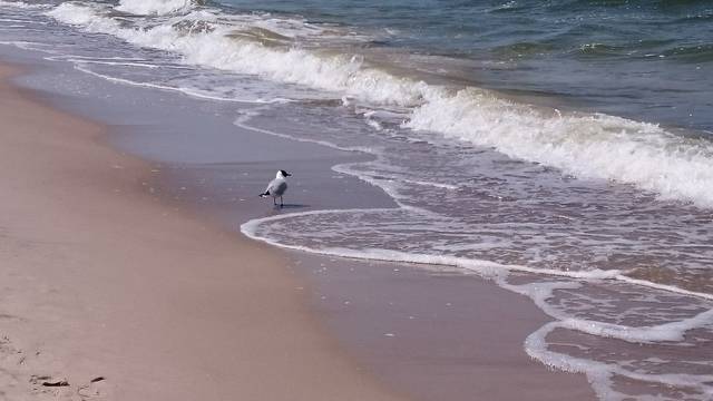 2015-05-15 13.02.56.jpg - renmir69