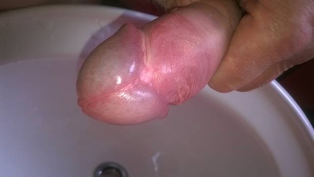 WP_20140927_006.jpg - terrano