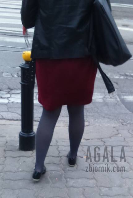 DSC_1449v.jpg - AGALA