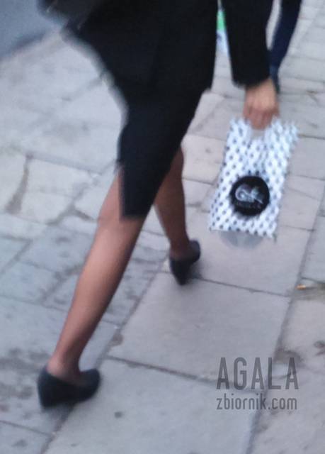 DSC_1468v.jpg - AGALA