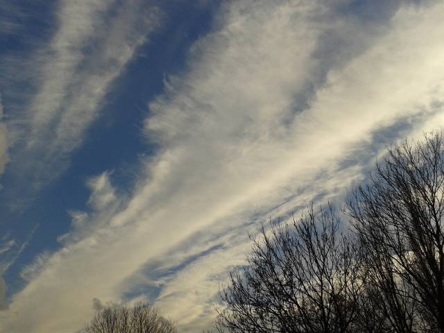 20141021_155022.jpg - methodius