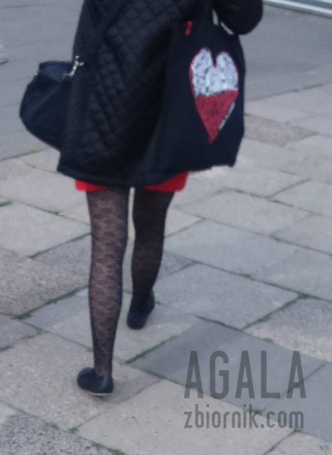DSC_1518odj.jpg - AGALA