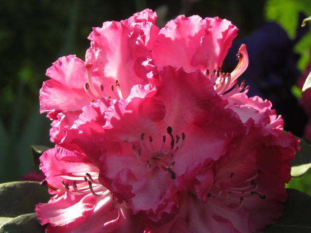 w słońcu.. - wodnik50