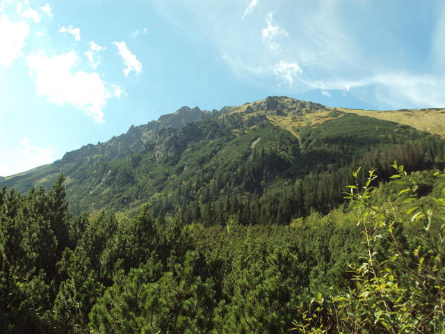 DSC02115.JPG - samotnik25