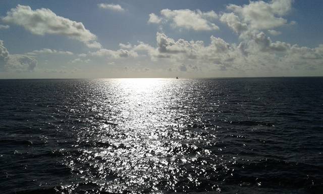 20140701_081837.jpg - samotnik25