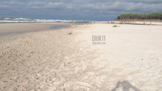 Dębki 2014  - diuk11