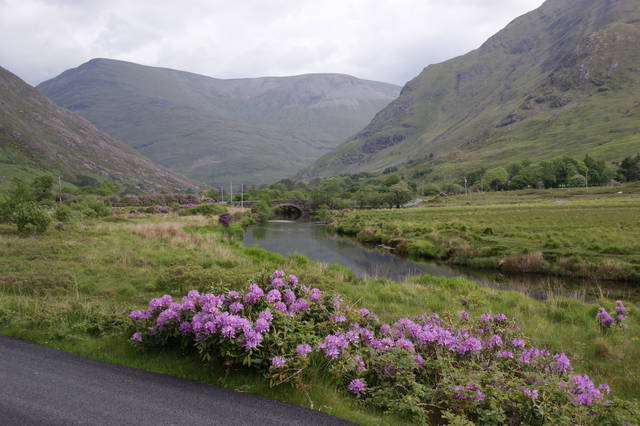 Irlandia - sexlubie1