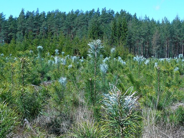 P1080353.JPG - jaceks58