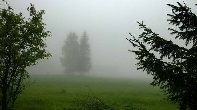 We mgle - Bi_cyklista