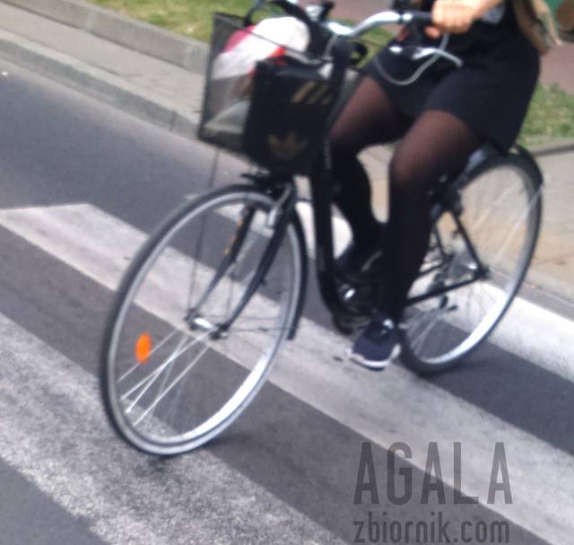 DSC_1616cz.jpg - AGALA