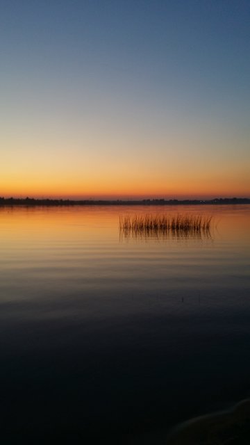 POGORIA - kasmar6378