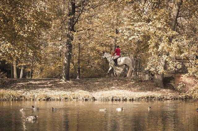 Czerwony jeździec - BlubieRobicMinetke