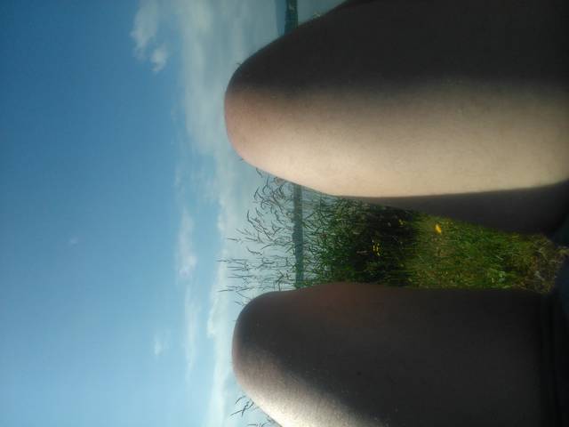 DSC_0569.jpg - piast81