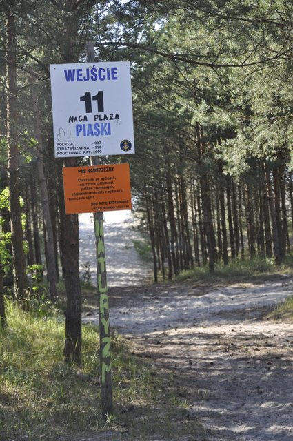 nasz ulubiony sektor - gregi221