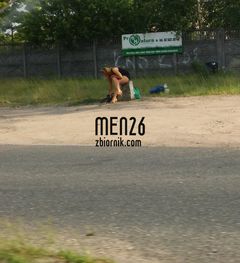 leśny ssak