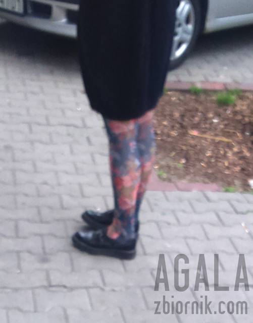 DSC_1745odj.jpg - AGALA