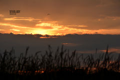 Nadmorskie klimaty.JPG