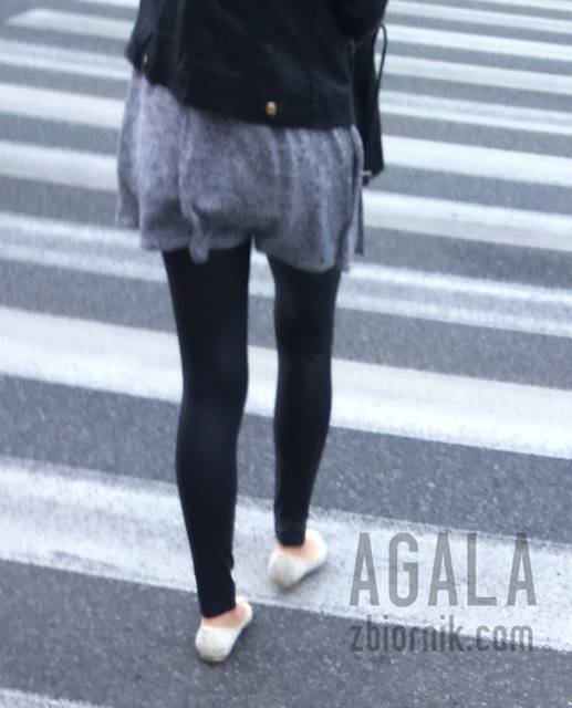 DSC_1864L.jpg - AGALA