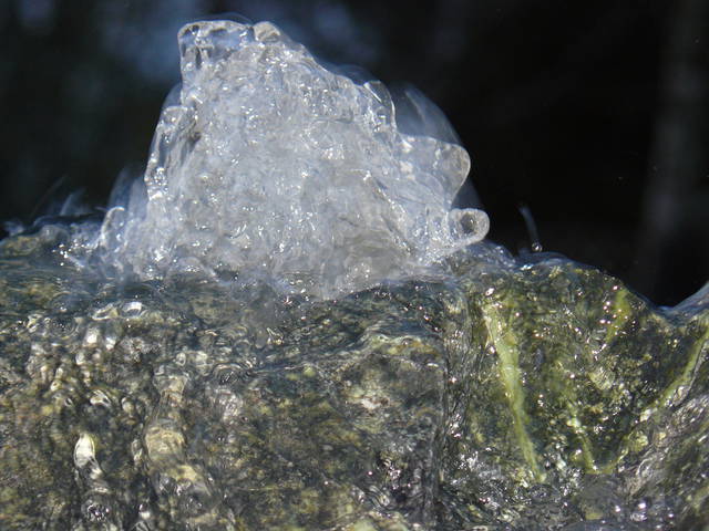 Ciekawostek
