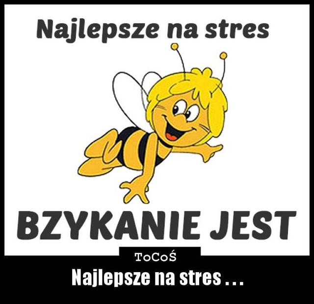 BZYCZEK - Mayorka0408