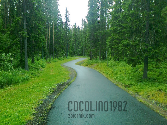 Kręta ścieżka :) - Cocolino1982