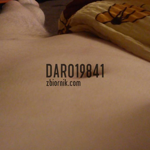 DARO19841