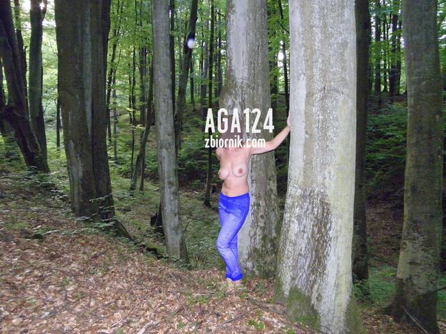 W ciemnym starym lesie - aga124