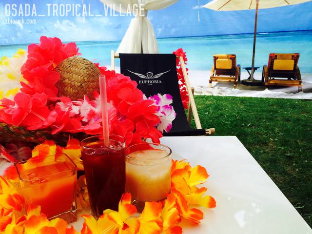 Chill-otujemy dalej ! - OSADA_TROPICAL_VILLAGE