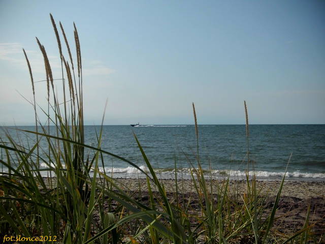 Patrol na morzu i patrol na lądzie :) - slonce2012