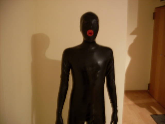 SDC11949 - translatex