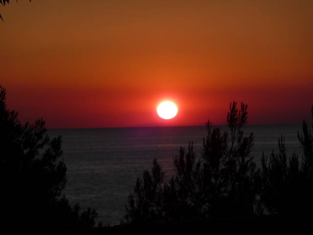 P1040547.JPG - ShyStudent