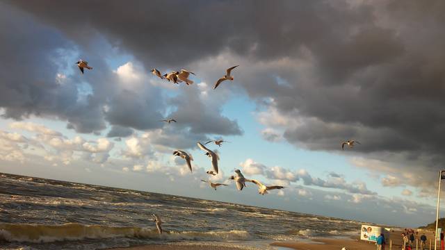20150710_202448.jpg - xxl5691