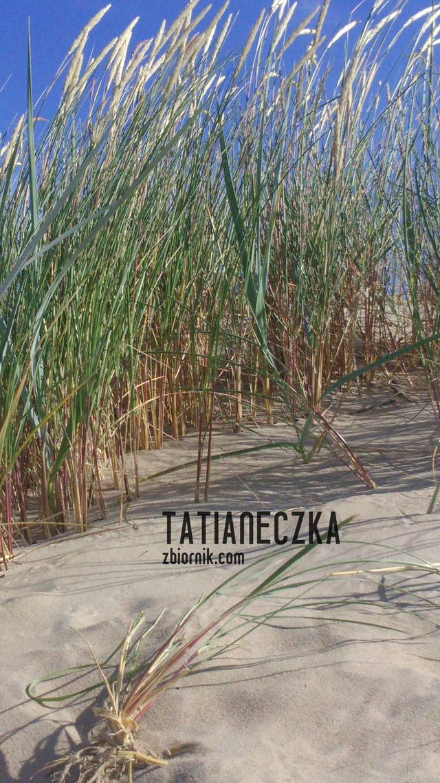 Tatianeczka