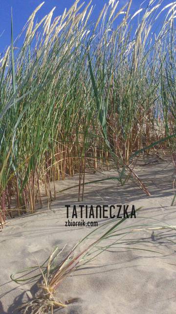 DSC_0582.JPG - Tatianeczka