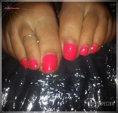 Fuchsia #04