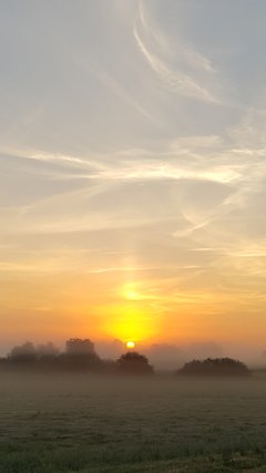 2015 Dębki pożegnanie 