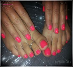 Fuchsia #07