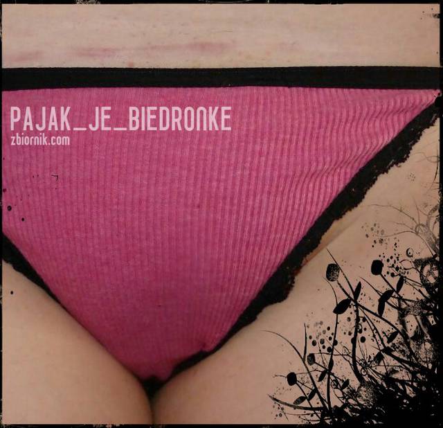 nasza kreska...jpg - pajak_je_biedronke