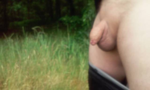 20150622_101753.jpg - krzyssuu