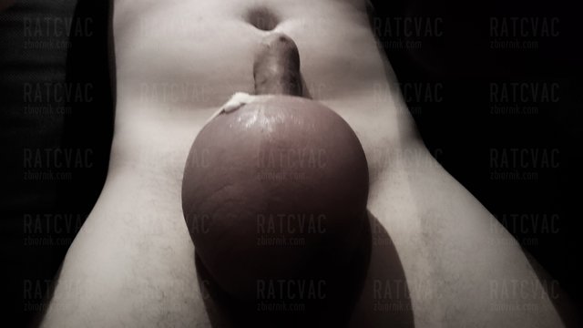 Dużo  - RATCVAC