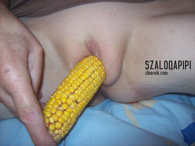 100_2011.JPG - szalonapipi