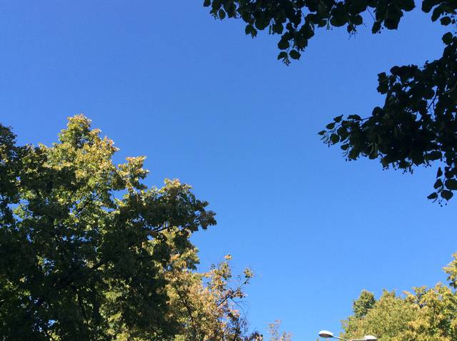 image.jpg - 4YOUbydgoszcz