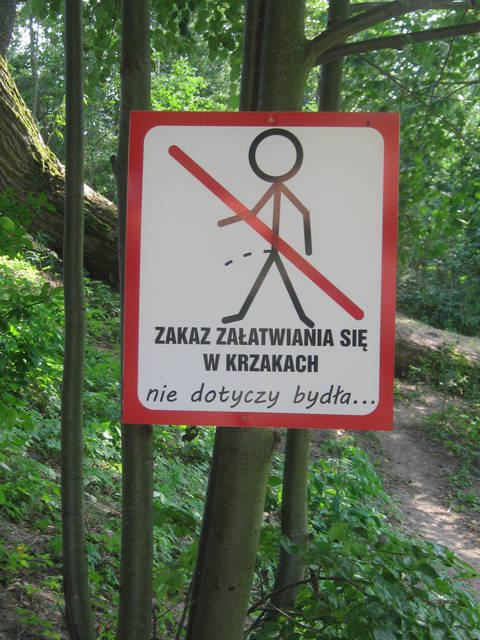 IMG_0562.JPG - mocchacino