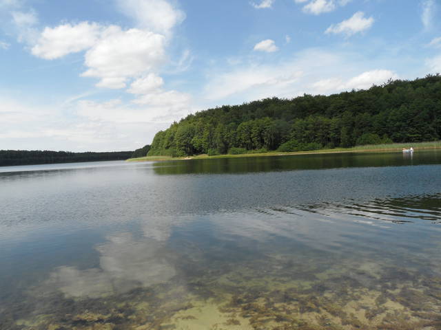 cudowne jezioro w środku lasu ... - duszki4