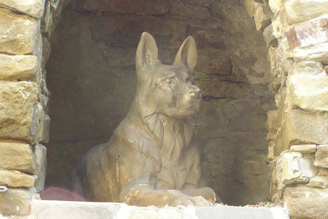 P8150157.JPG - janusz1964103