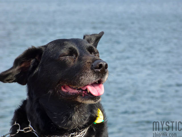 Zachodni wiatr - mystic