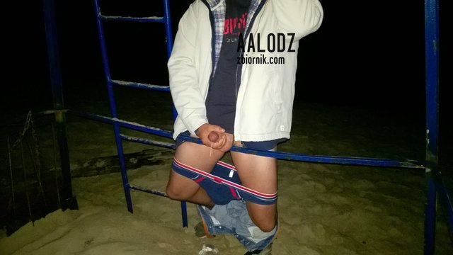 WP_20150828_049.jpg - aalodz