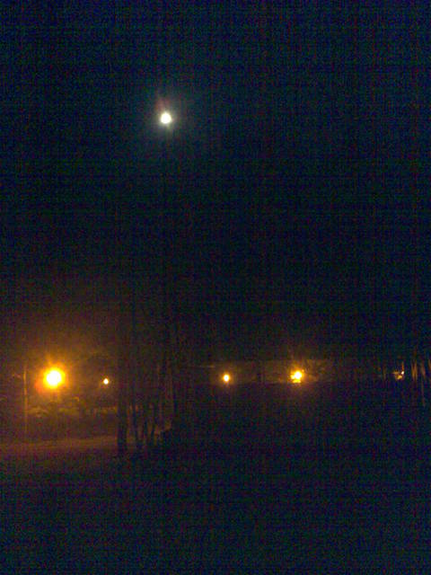 spacer.jpg - ParaRybnik3433