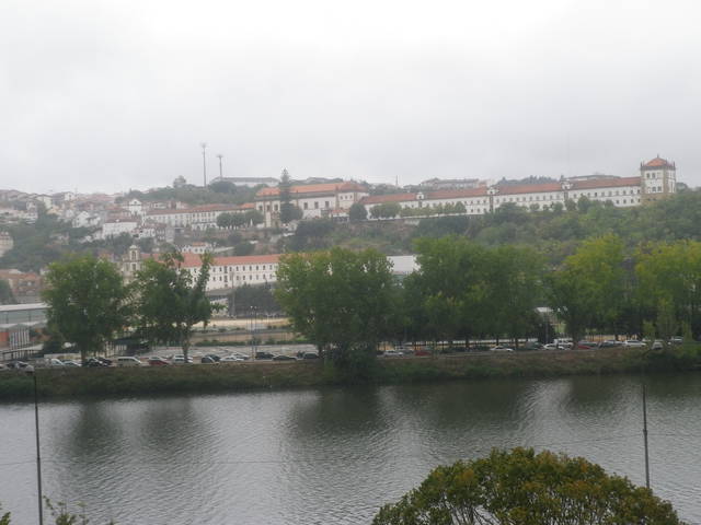 445.JPG - ronvana