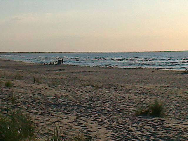 Piaski koncówka sierpnia plaża nr.11 - Tajson2